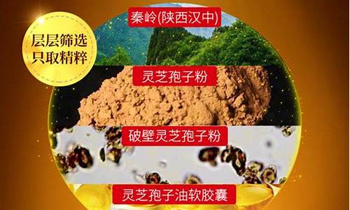 三秀生物最新消息_三秀生物孢子油价格